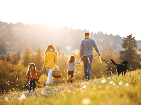 7 Tage Familienzeit mit Ihrem Haustier im Schwarzwald in Bad Herrenalb Frühstück