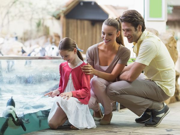 Doppelt entdecken: Zoo + Stadt – 4 Tage in Leipzig, Sachsen inkl. Frühstück