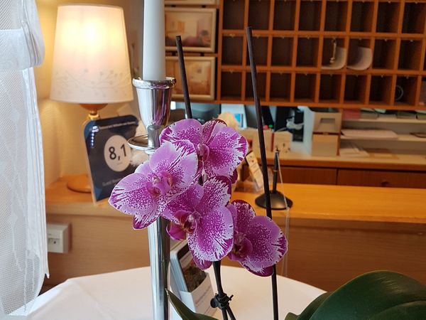 Premio Wein & Schlemmer-Reise Diez an der Lahn 7 HP+ Halbpension Plus