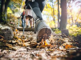 Urlaub beim Winzer an der Mosel