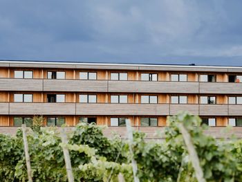 Kurze Auszeit im Weingut Römmert