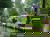 10 Tage - Spreewald All Inclusive