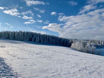 Bild 28 von 32