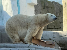 Tierpark und Tropen Aquarium Hagenbeck in Hamburg mit Hotel