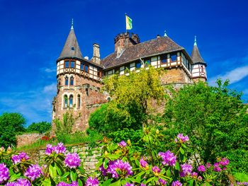 Urlaub in Nordhessen - die Grimmheimat entdecken