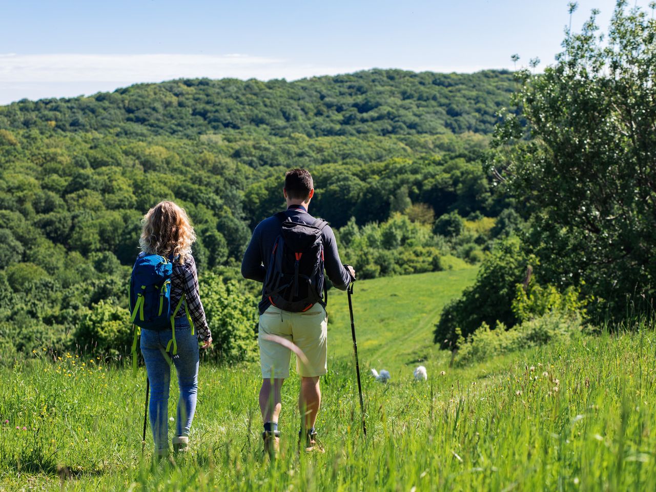 4 Tage Wandern zwischen Taunus und Wetterau