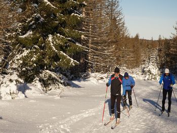 Romantisches Weihnachtsarrangement im Harz