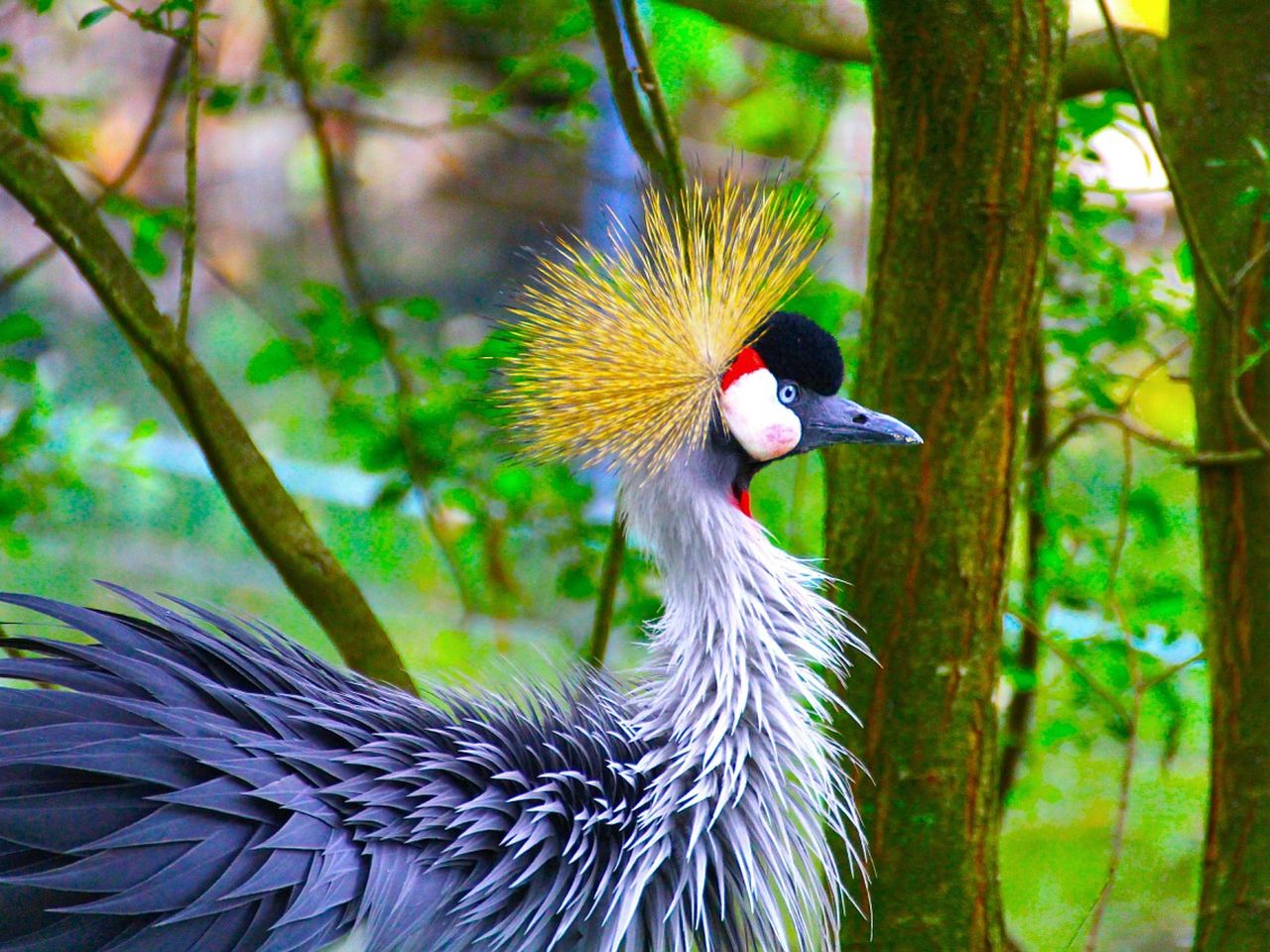 Tierisches Familien-Abenteuer Zoo Dresden - 4 Tage