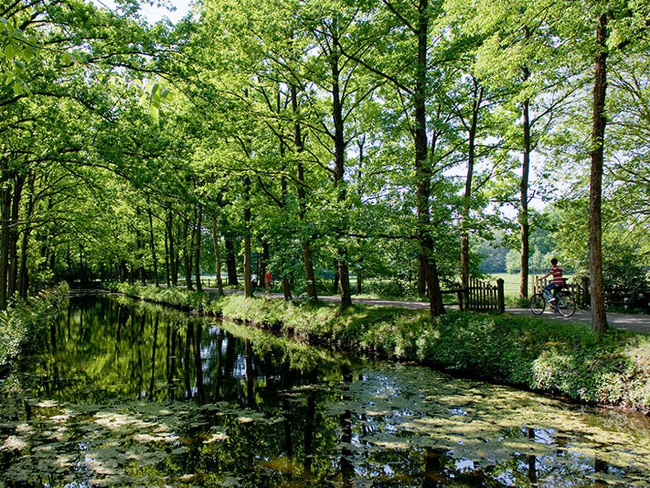 5 Tage - Erholung im verträumten Burgwald!