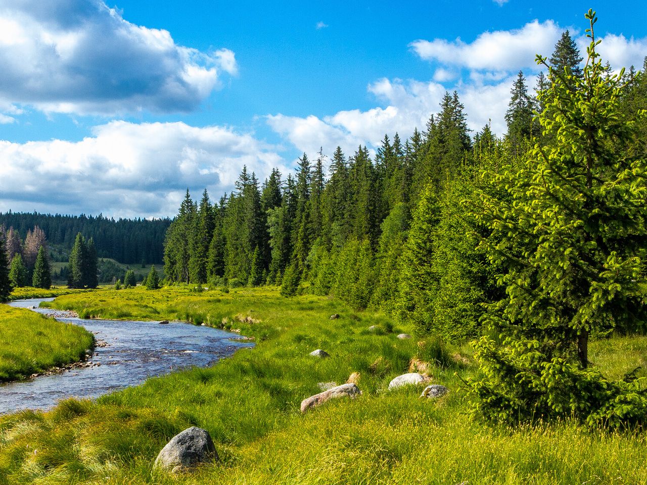 2 Tage Familienzeit im Bayerwald: Naturerlebnisse pur