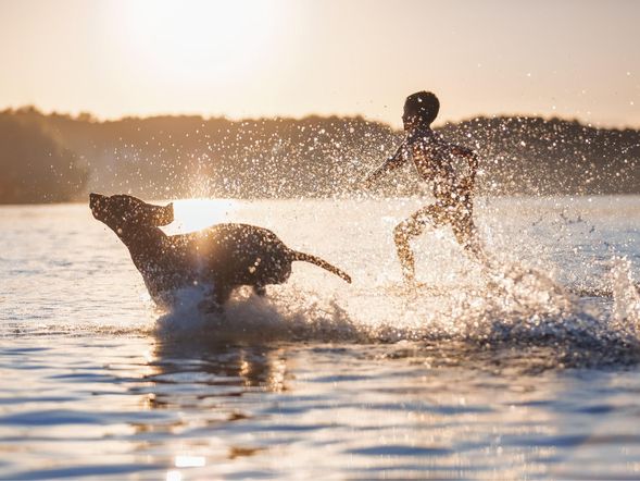 Seen.Sucht – Natururlaub am See