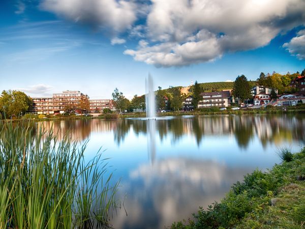 2 Tage Kranichsee-Wochenende in Goslar OT Hahnenklee, Niedersachsen inkl. Halbpension