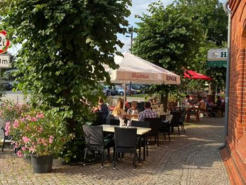 Sommer in Mecklenburg, weite Landschaften genießen