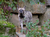 Opel-Zoo Tickets mit Hotel