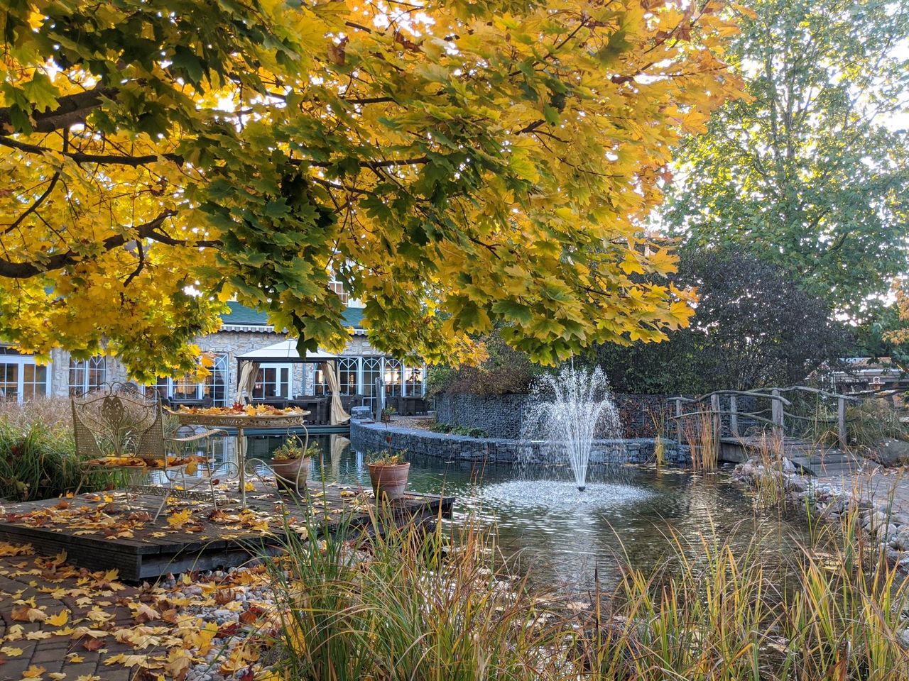 Herbstspazierang im Weinberg