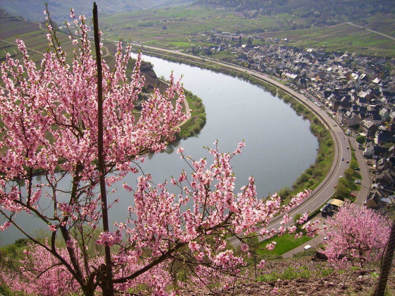 FRÜHLINGSER­WACHEN AN DER MOSEL 