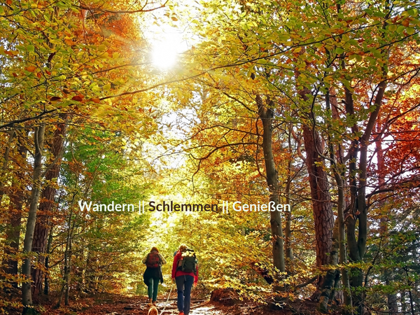 5 FeelGood Tage im Schwarzwald in Waldachtal Halbpension