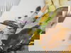 2 Tage im Hotel Norica mit HP