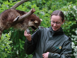 Tierpark Sababurg mit Hotel