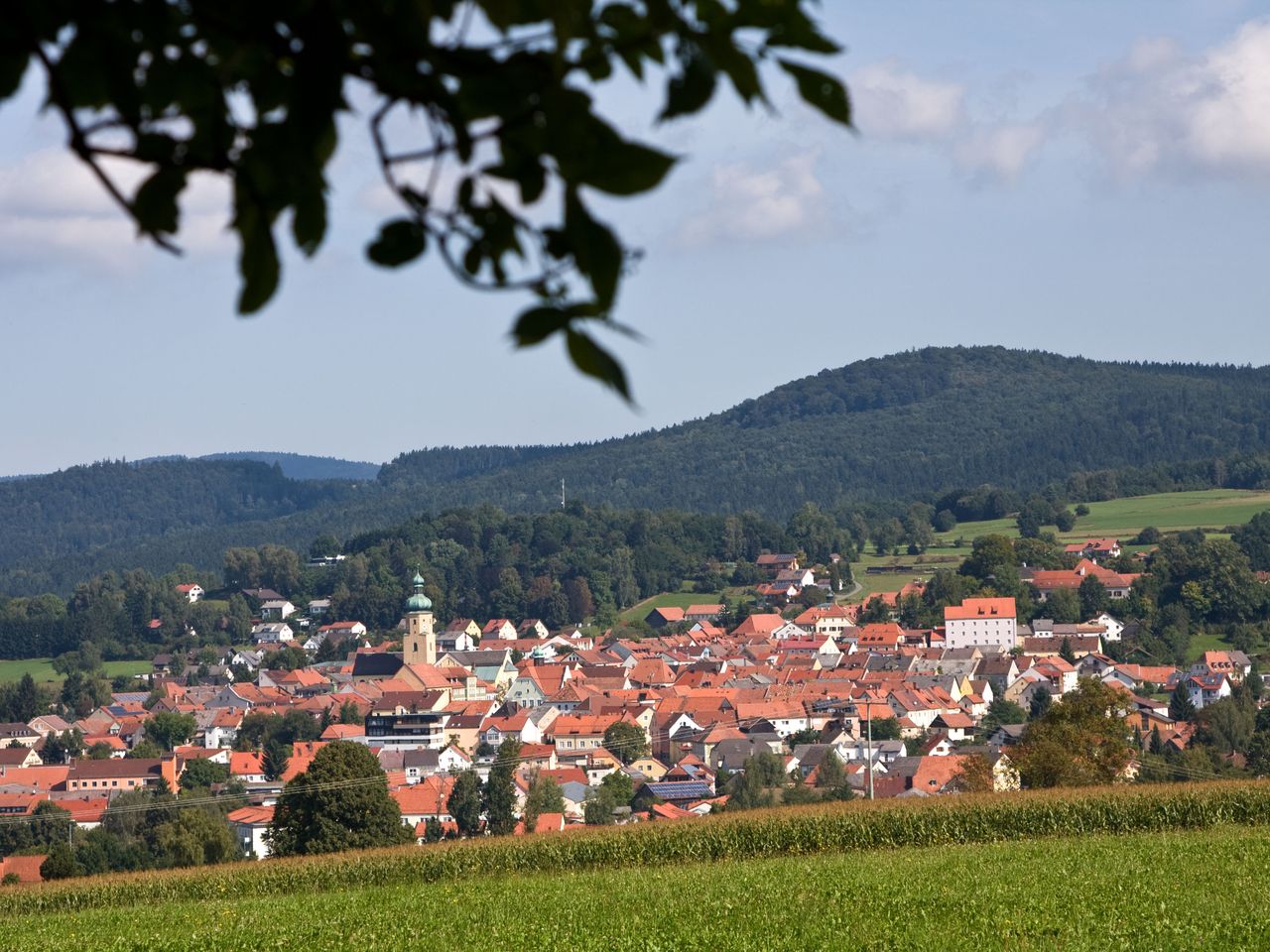 Abnehm- und Wellnesstage im Bayerischen Wald