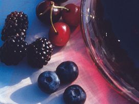 Münster und Bächle - 4 Tage Freiburg im Breisgau