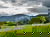 Tapetenwechsel Schwarzwald-Einfach was anderes sehen