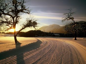 Alpen-Sommer in purer Natur