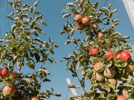 4 Tage... Herbst, Sonne, Südtirol