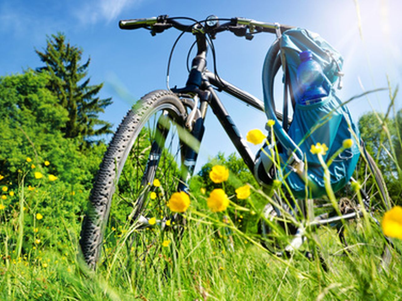 Mit dem Fahrrad durch das Oldenburger Land