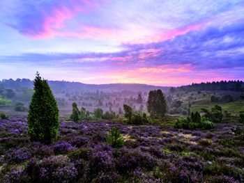 Wandern in der Lüneburger Heide