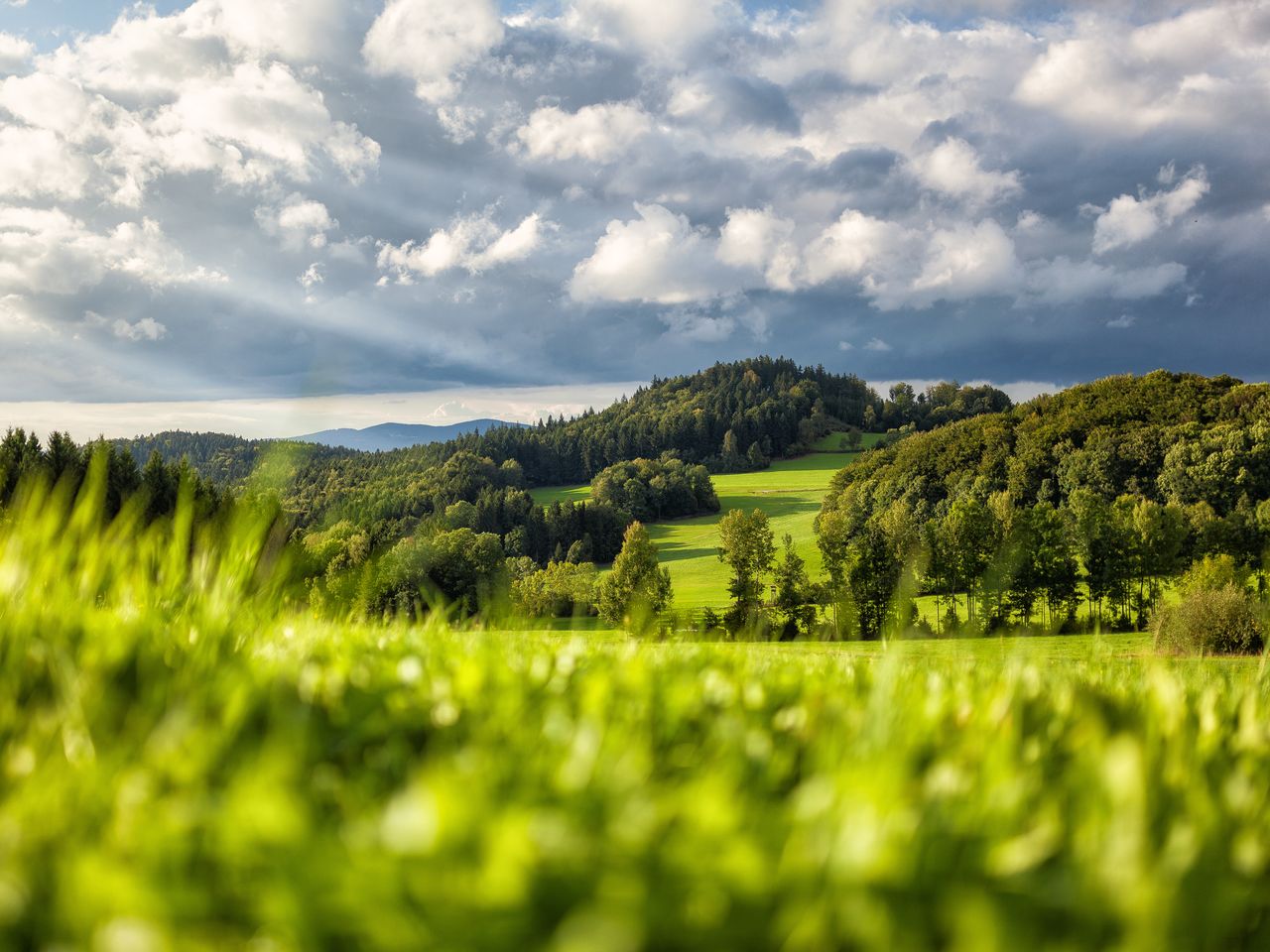 Bayerischer Wald für Individualisten / 8 Tage