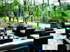 3 Tage Waldhotel in Brabant – Ruhe & Natur erleben