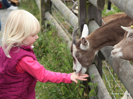 Tierpark Sababurg mit Hotel