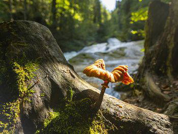 Herbstallerliebstes Allgäu: Wunderbare Hideaway Tage