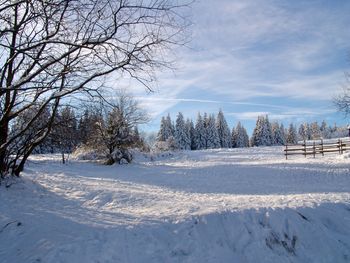 Harzer TOP DEAL: 5 Tage Superpreis