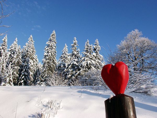 4 Tage Weihnachtsfeiertage in Hahnenklee in Goslar OT Hahnenklee, Niedersachsen inkl. Halbpension