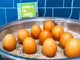 Die Hansestadt erkunden ! 2 Tage