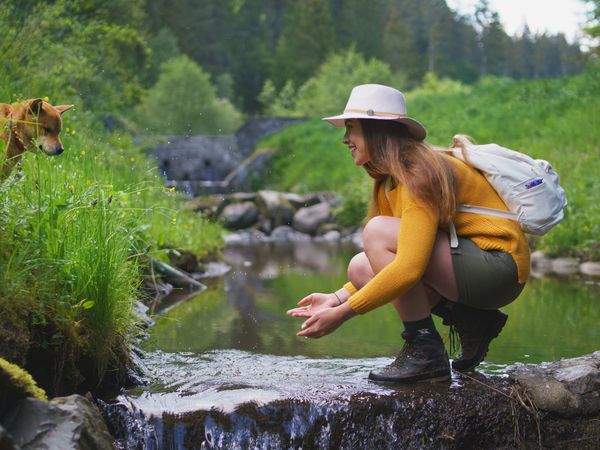 Urlaub mit 4 Pfoten im Harz / 6 Tage in Friedrichsbrunn (Thale), Sachsen-Anhalt inkl. Frühstück