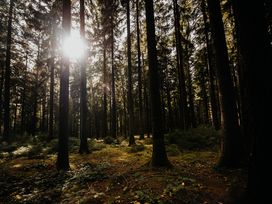 Genießer-Tage im schönen Erzgebirge