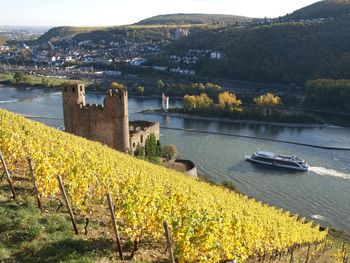 3 Tage das Mittelrheintal erkunden inkl. Schifffahrt