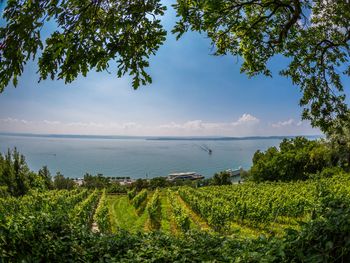 6 Tage am Bodensee: Nahe am Ufer & top angebunden