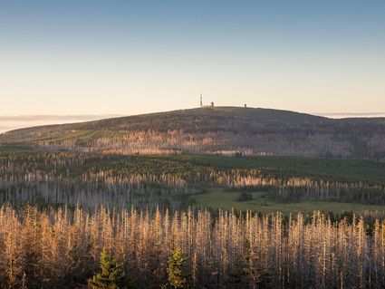 Auszeit im Harz inkl. HP I 6 Tage Kurz-Mal-Natur
