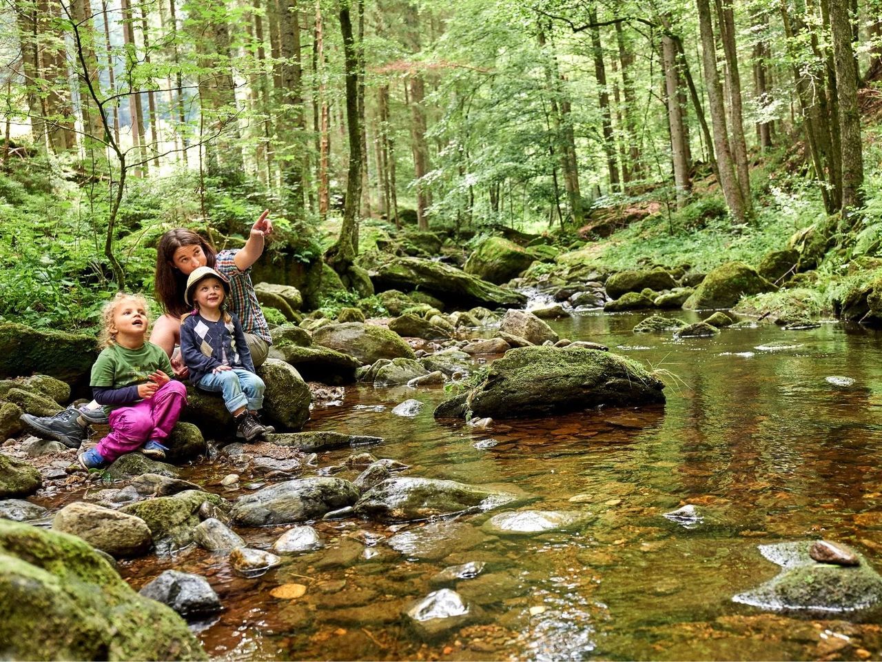 2 Tage Familienzeit im Bayerwald: Naturerlebnisse pur