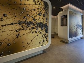 5 Tage Wellness & Ruhe im grünen Herzen Brabants