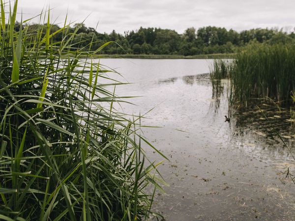 SIMPLY RESET – 3 Tage: Einfach aber mit Komfort in Groß Plasten, Mecklenburg-Vorpommern inkl. Frühstück