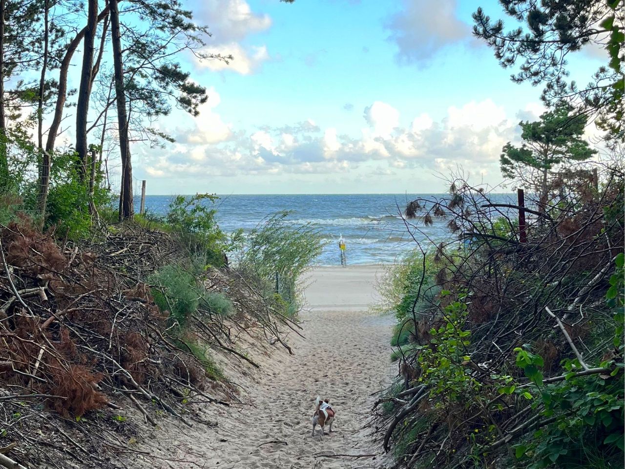 3 Tage Auszeit-Strand-Ostsee