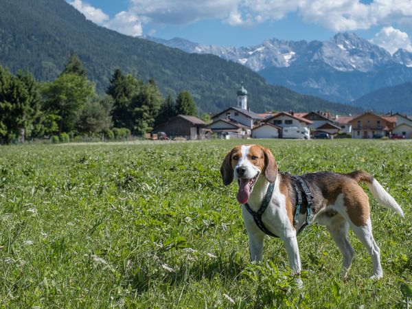 3 Tage Natururlaub in den Bayerischen Alpen in Garmisch-Partenkirchen, Bayern inkl. Frühstück