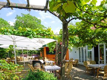Auszeit mit Wein & Kulinarik - Freitags-Special