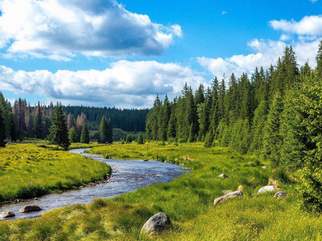 3 Tage Wanderurlaub im Schwarzwald