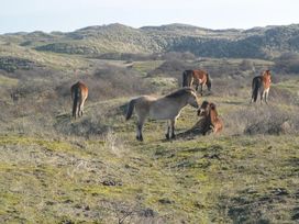 Nordsee-Auszeit mit Wellness mit Frühstück - 3 Tage